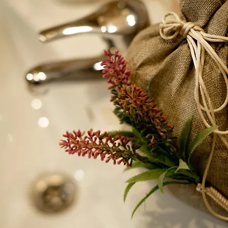 Inmocyma Antigua Casa Chuanina, Bajo-benasque *