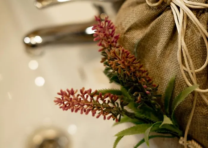 Inmocyma Antigua Casa Chuanina, Bajo-benasque *